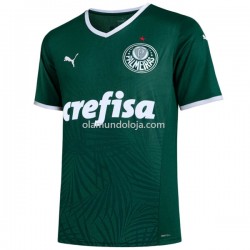Camisola Palmeiras Equipamento Primeiro 2022-2023 Manga Corta